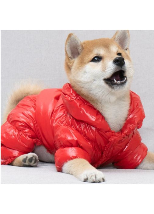 Теплый зимний комбинезон для собак на флисе размер L No Brand (368710092)