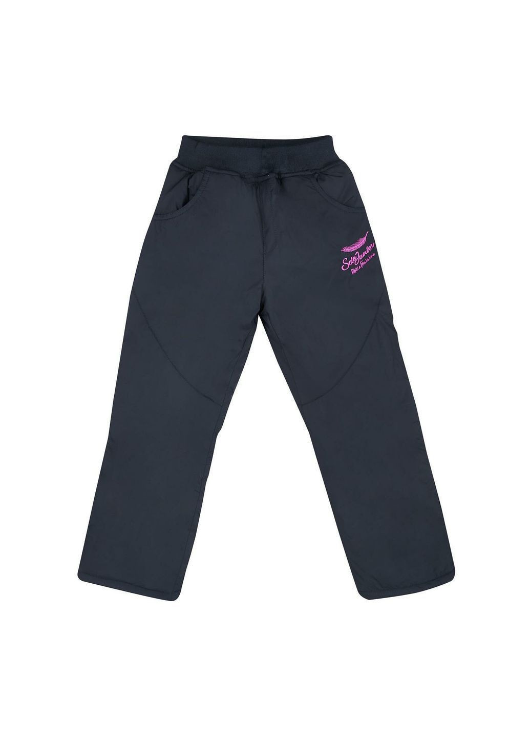 Синие повседневный зимние брюки F&D