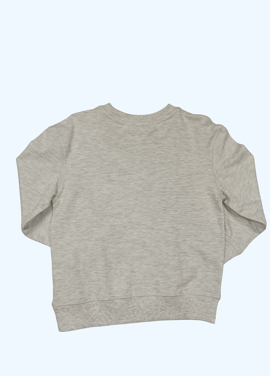 Светло-серый свитшот H&M меланж (315494081)