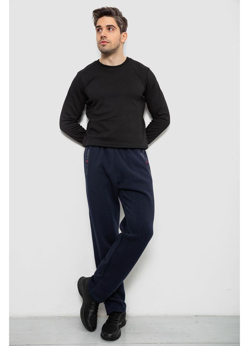 Спортивні штани чоловічі на флісі Sport Line (367261982)
