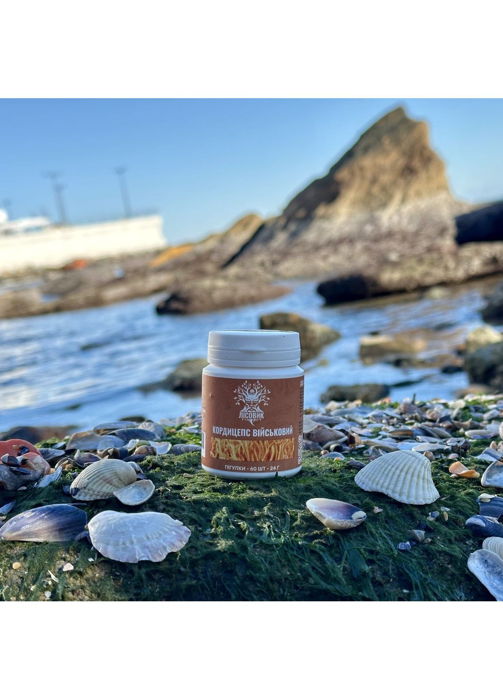 Кордицепс военный в таблетках 60 шт по 0,4 г Лісовик (334711107)