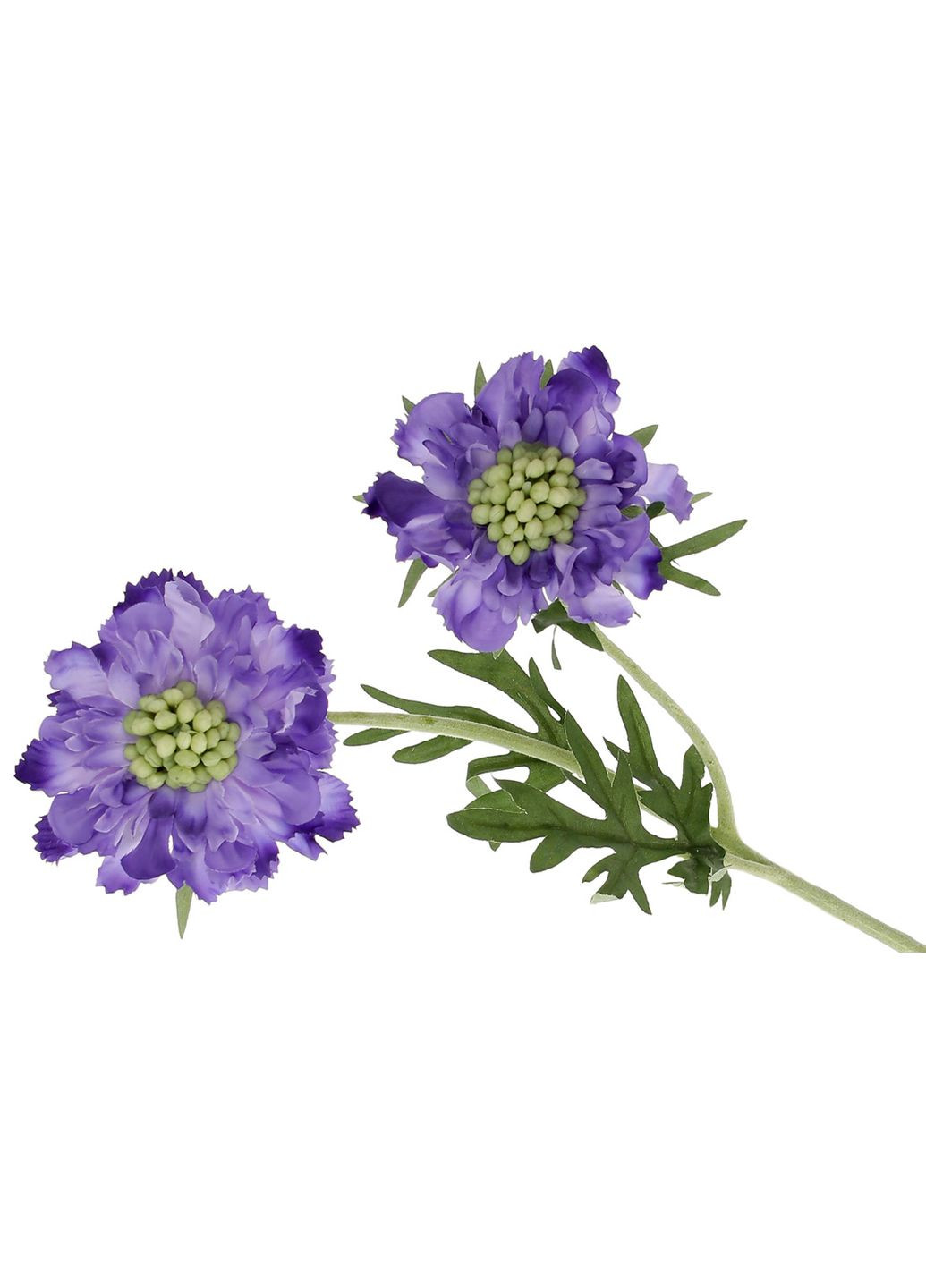 Скабиоза ветка 2 цветка на ноге 56см, лавандовый No Brand (321971231)