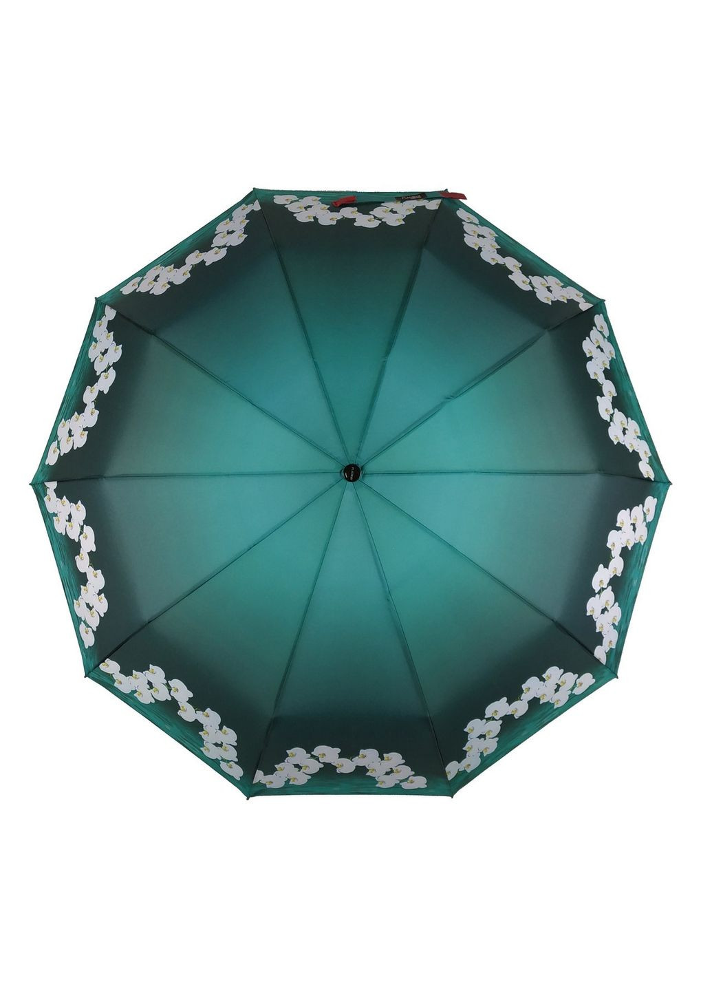 Жіноча напівавтоматична парасолька Flagman (282584551)