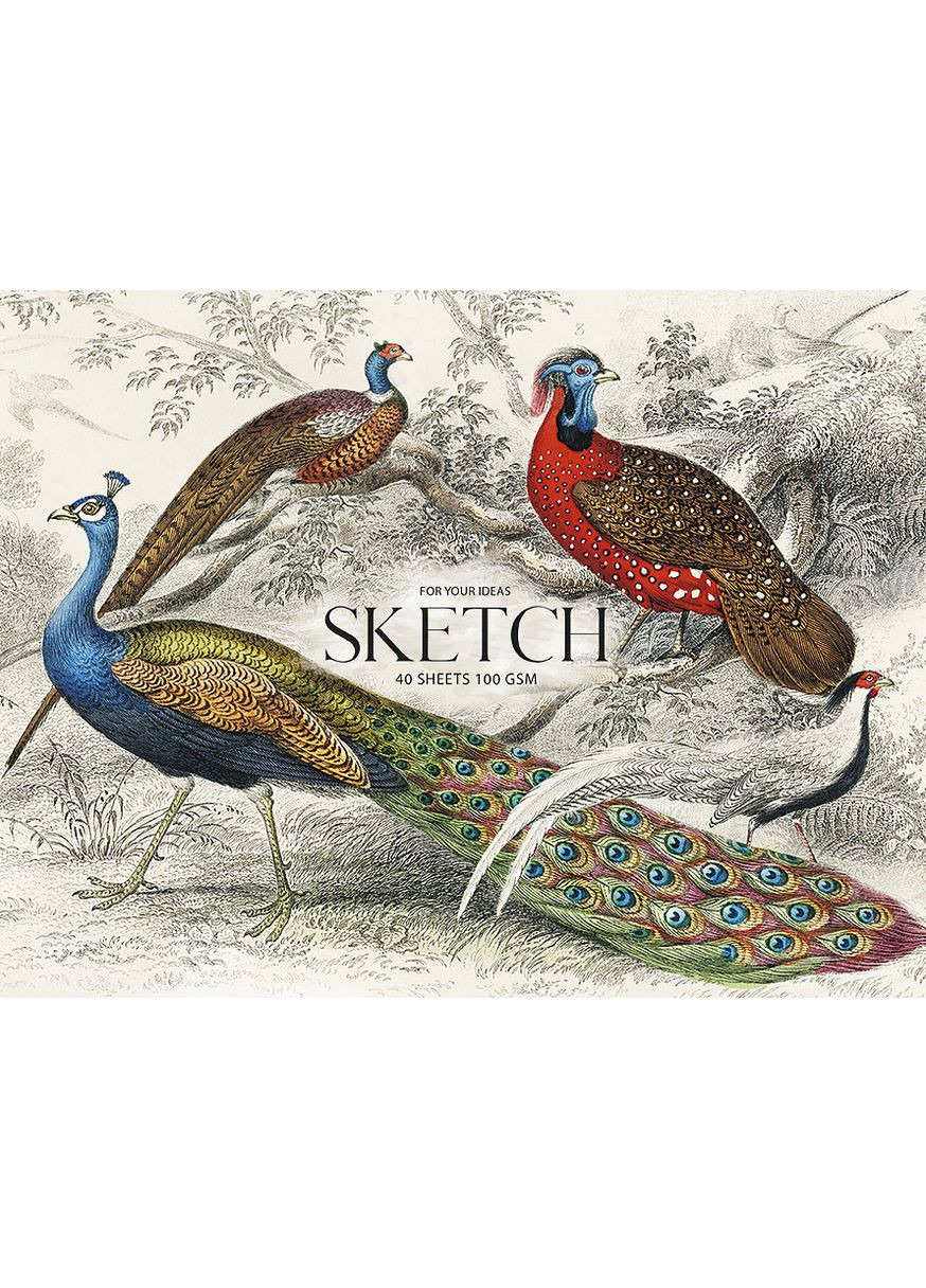 Скетчбук А4+/40арк. " " /PB-GB-040-047/ склейка гор. (100г/м2) (2/44) Muse (367751795)