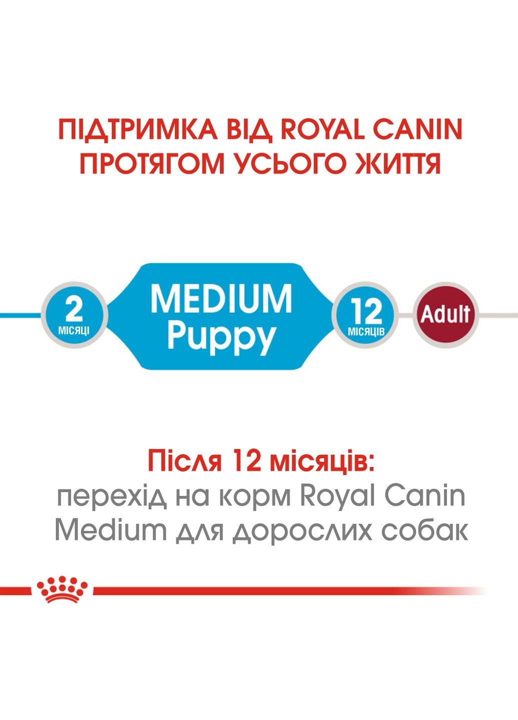 Сухий корм для цуценят середніх порід Medium Puppy до 12 місяців 15 кг (11421) (0262558402136) Royal Canin (316226711)
