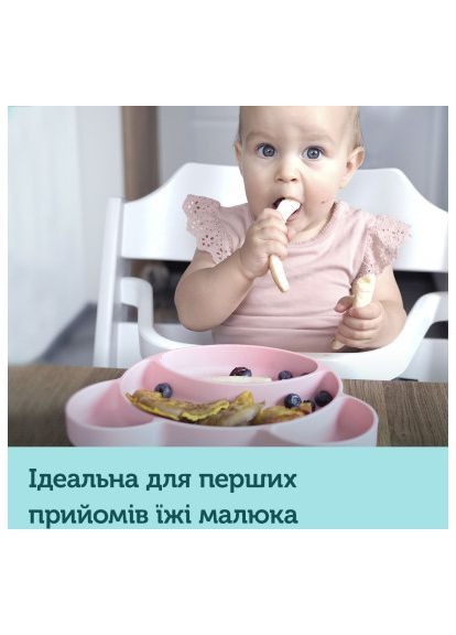 Тарелка детская Мишка на присоске Бирюзова (51/401_tur) Canpol Babies Ведмедик на присосці Бірюзова (366154168)