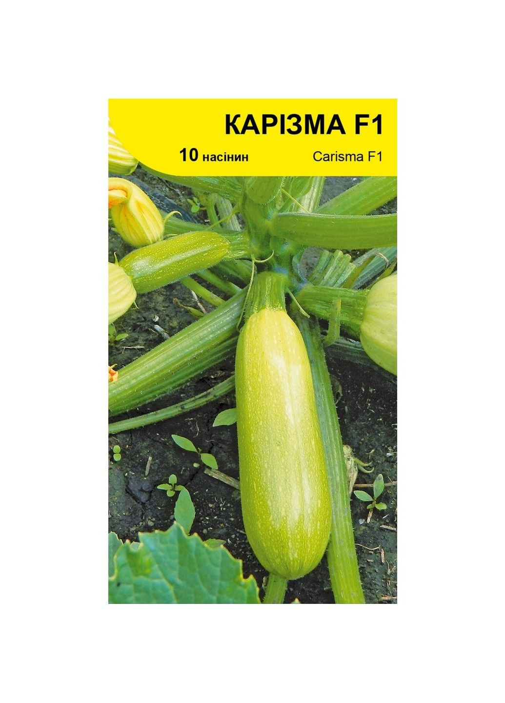 Семена кабачка Каризма F1 Syngenta (331900629)
