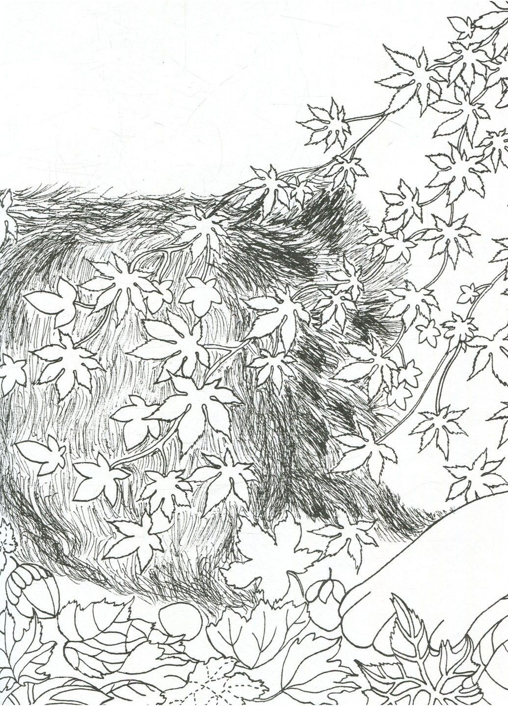 Раскраска Почти миллион собак. Лулу Майо Жорж (302671091)