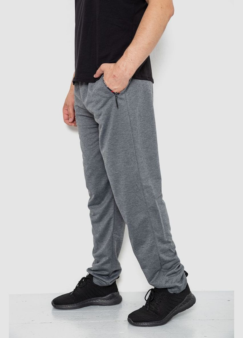Серые спортивные демисезонные брюки Ager
