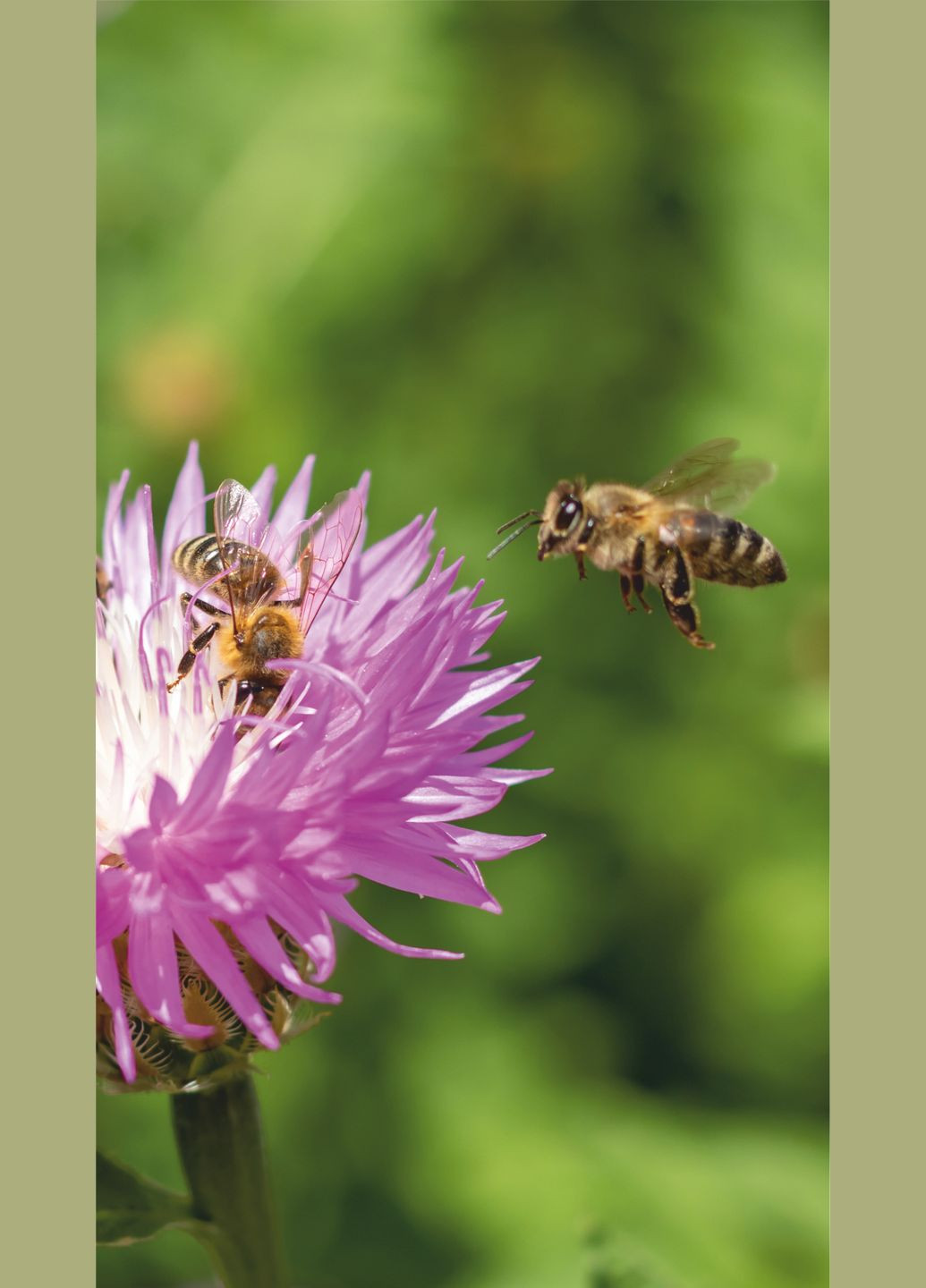 Картина обігрівач інфрачервоний плівковий Бджоли на роботі 61x107см/250Вт/220В Monocrystal (276905159)