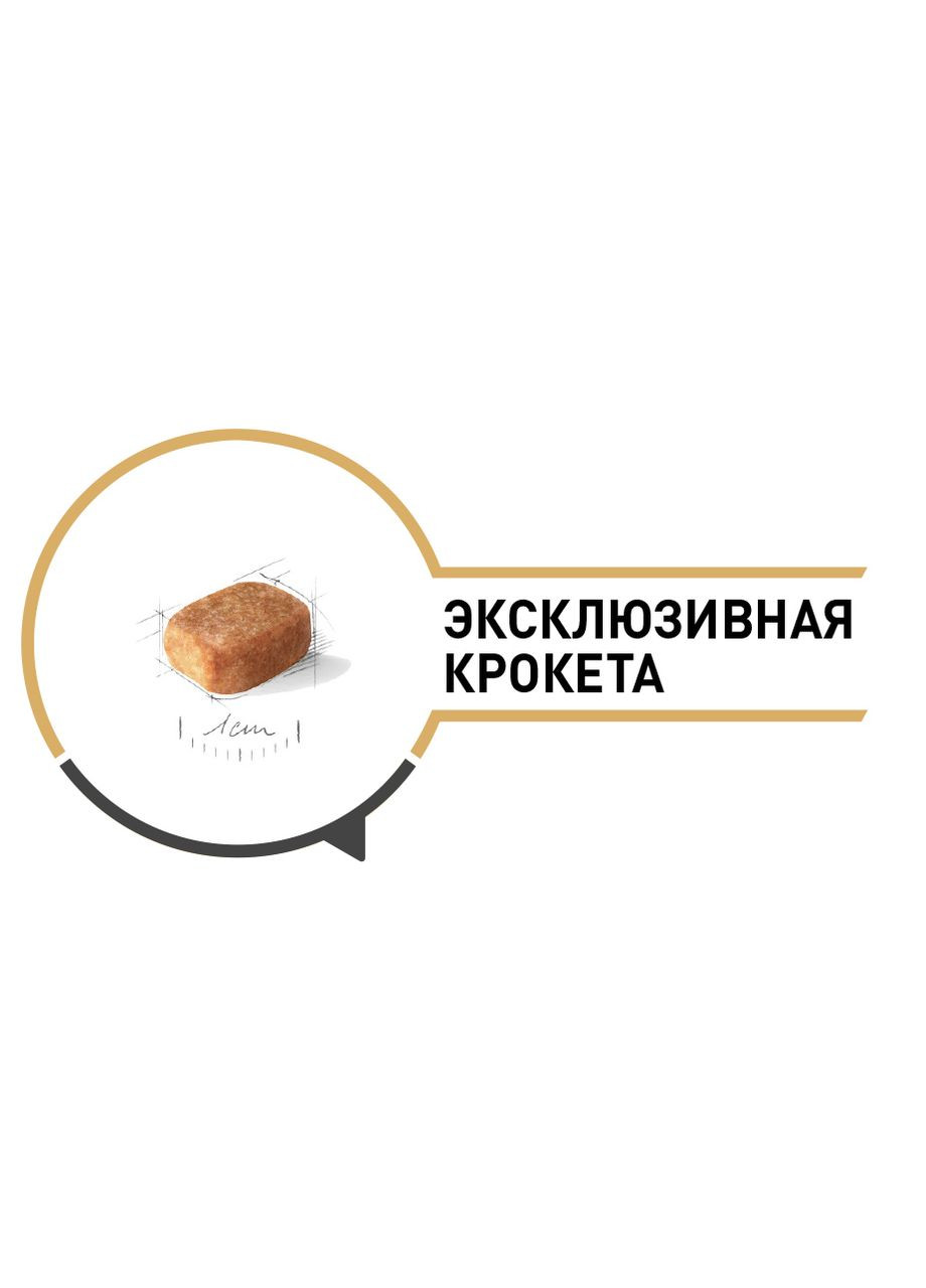 Сухий корм для собак чихуахуа Chihuahua 1.5 кг 2210015 Royal Canin (266274144)