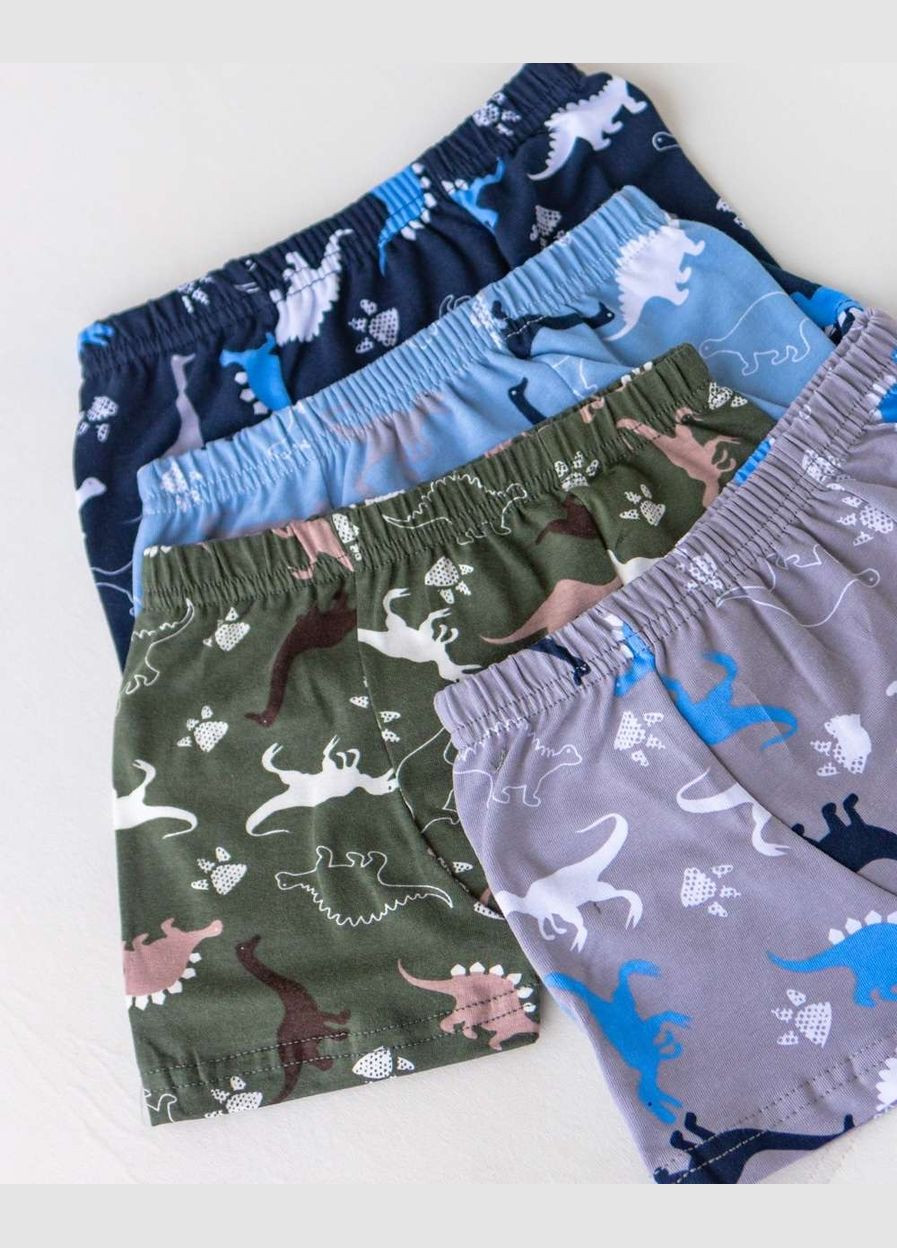 Набор детских трусов-боксеров для мальчика (5 шт.) Nicoletta (343339642)