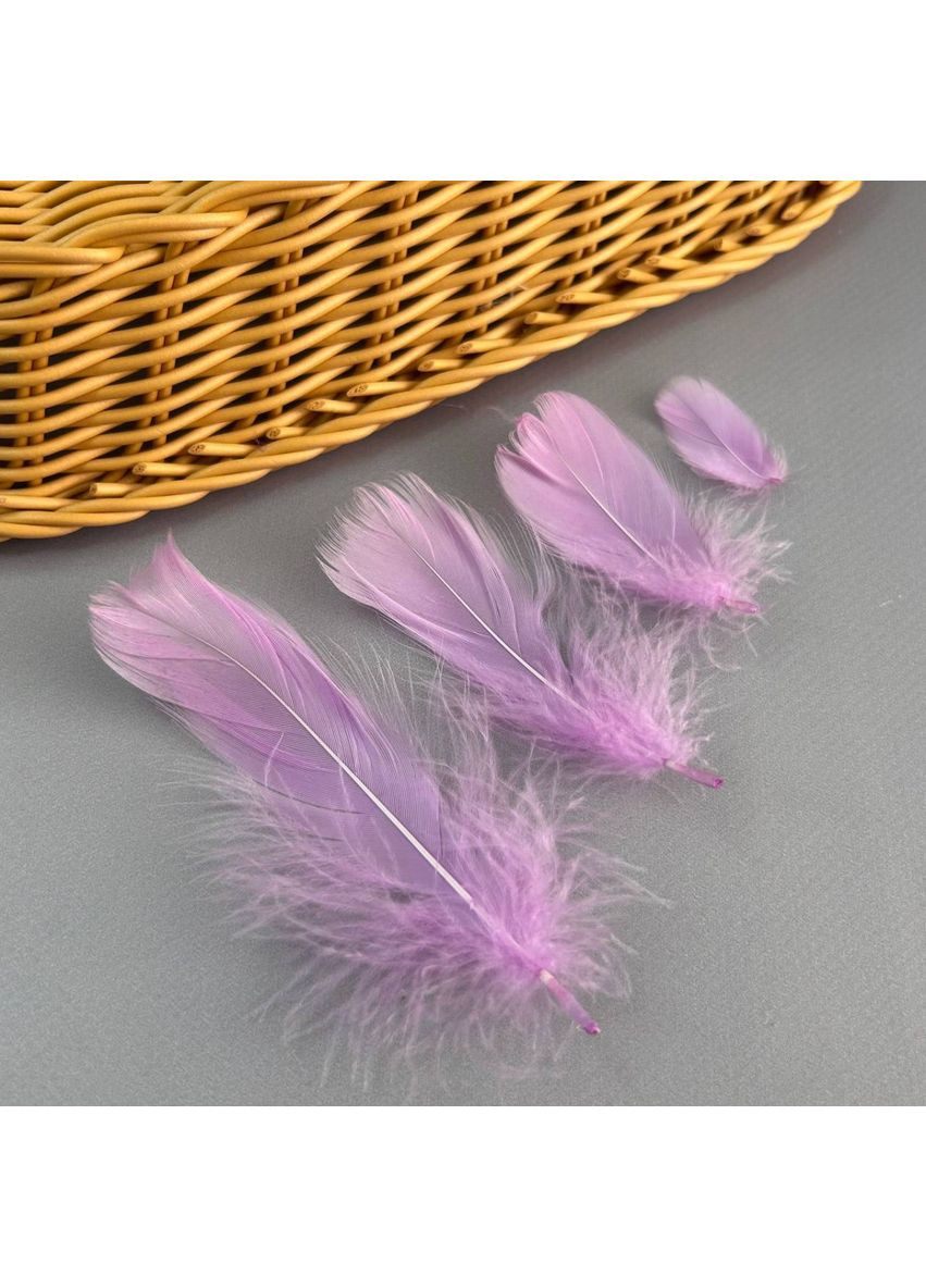 Пір'я гусячі для рукоділля 9-13 см, ∼95шт - бузковий Plus-plus (354794947)