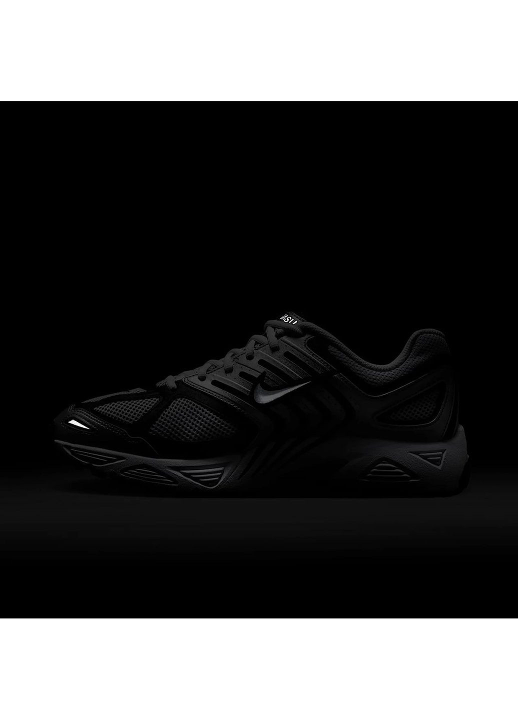 Метал кросівки чоловічі air pegasus 2005 metallic Nike