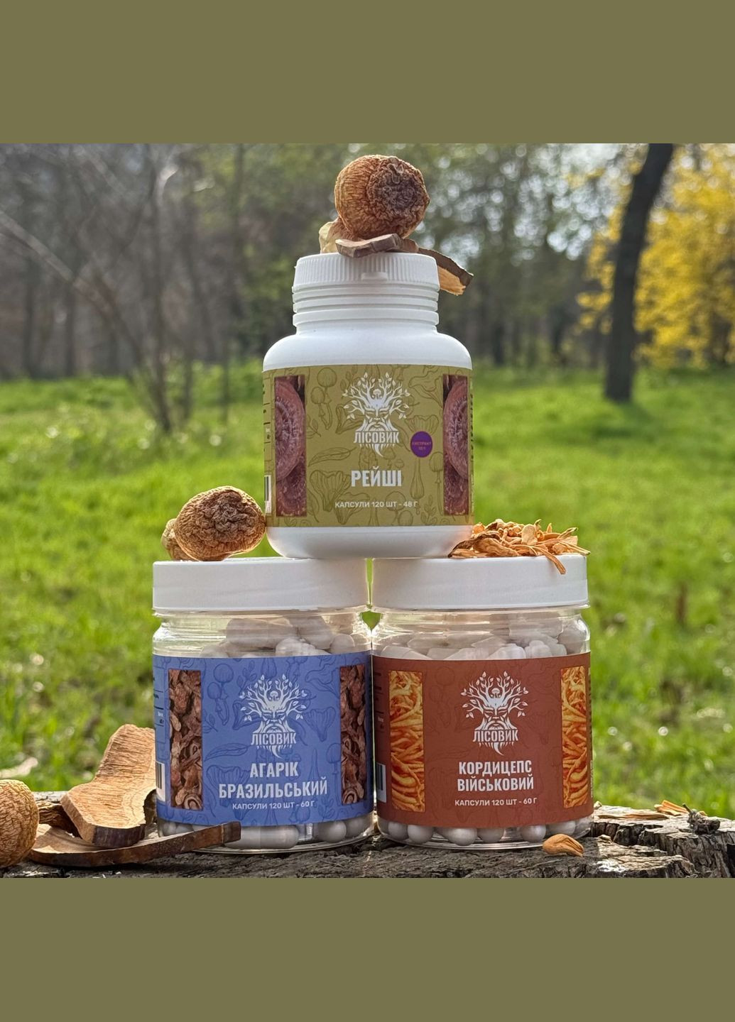 Курс Heart Power: Для сердцево-судинної системи (2 місяця) Лісовик (334292958)