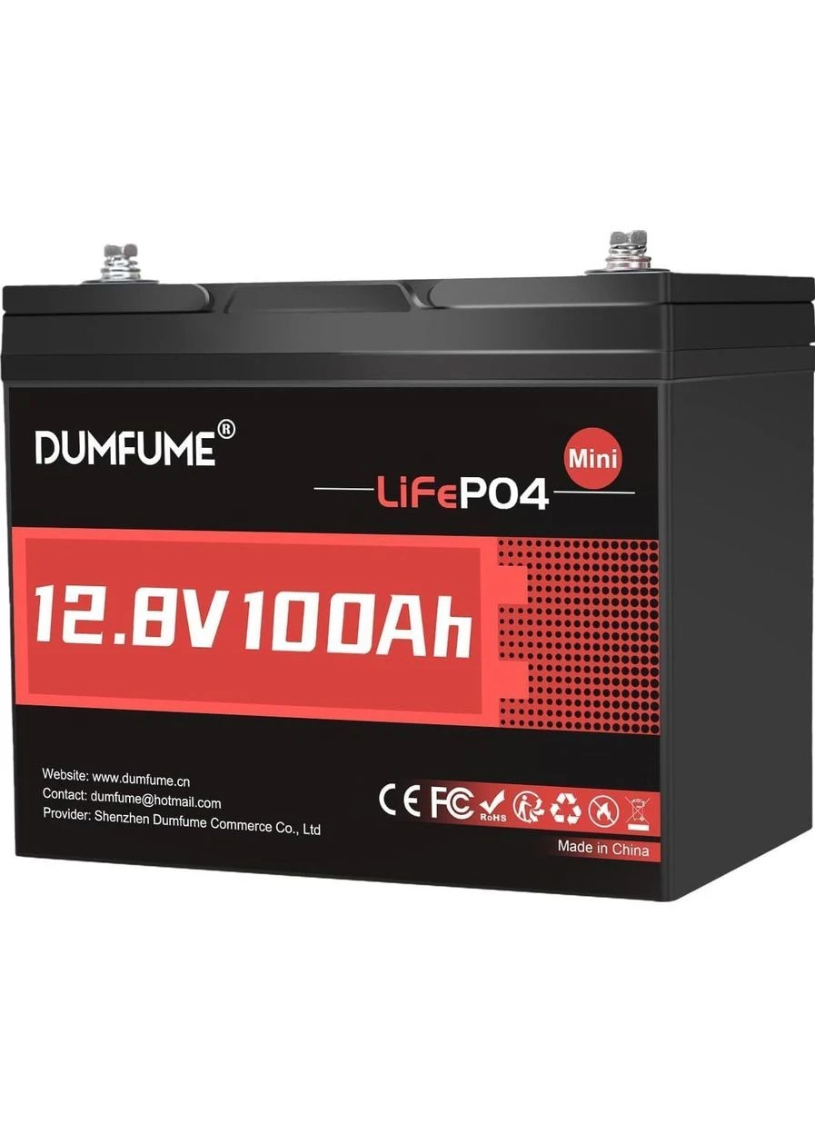 Акумулятор LiFePO4 12V (12.8V/100Ah/1280Wh) (-12,8V/100Ah-MINI) [164635] Dumfume (401542595)