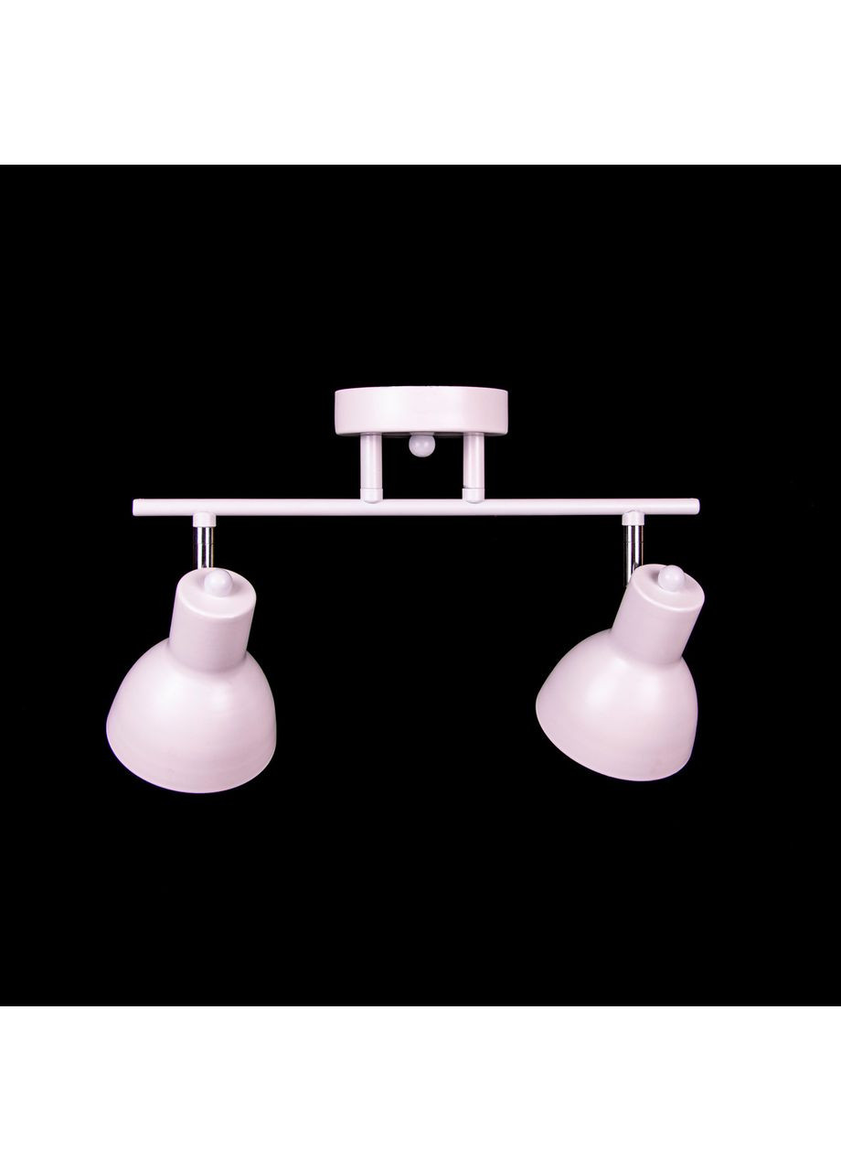 Потолочная люстра на 2 лампочки N4762/2 No Brand (352229583)