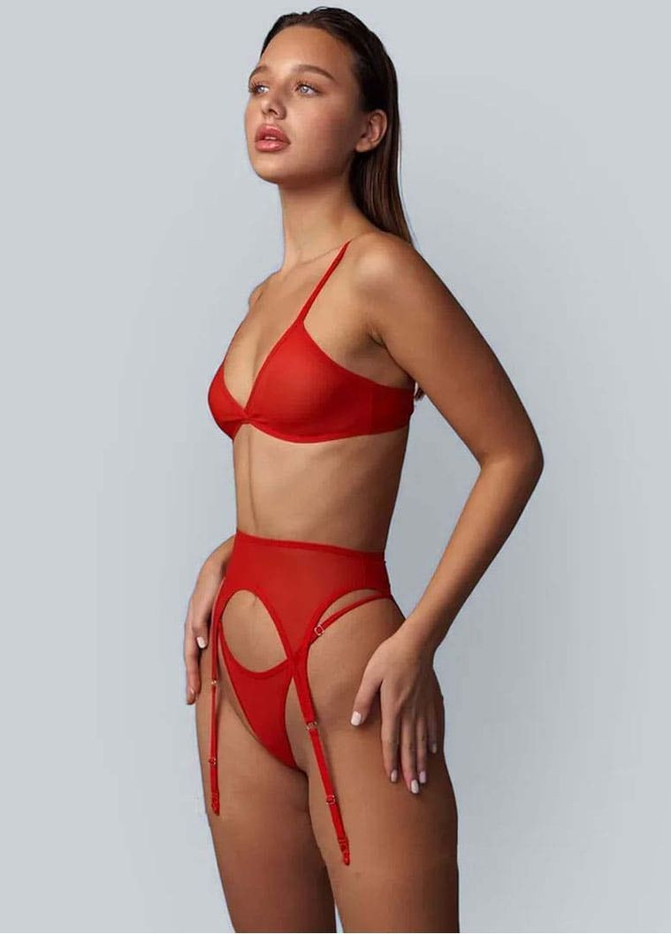 Червоний демісезонний сексуальний спокусливий еротичний комплект - еротична білизна NDS