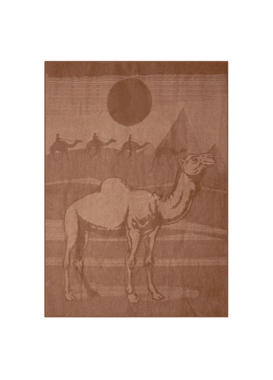 Одеяло из верблюжьей шерсти 140х205 ДИЗ.2 Ярослав (298499477)