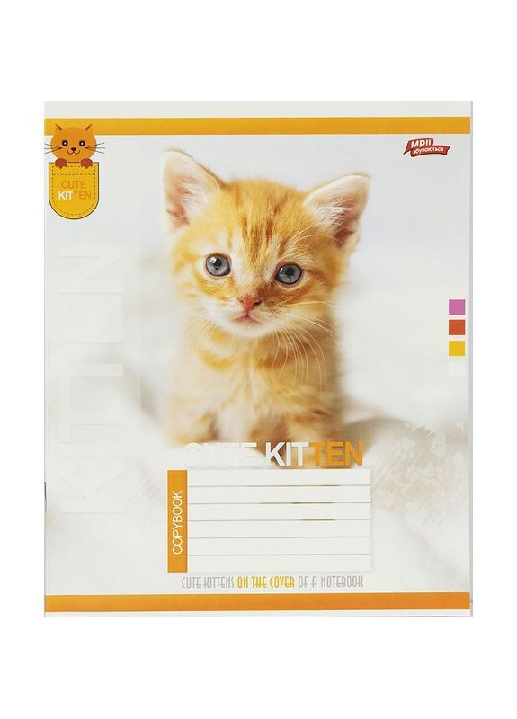 Тетрадь 24 л. клеточка "МЕЧТЫ" / Cute Kitten Мрії Збуваються (351904428)