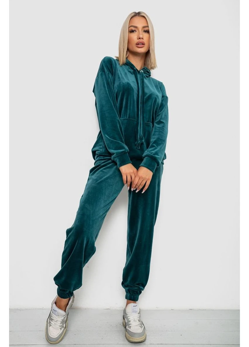 Спортивный костюм женский велюровый,, 241R1530-5 Ager (374381300)