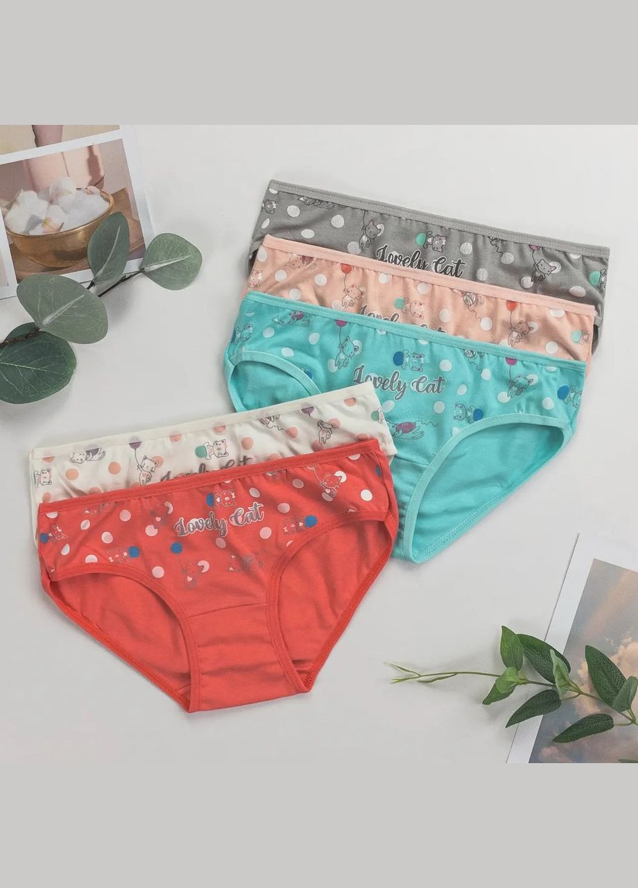 Дитячі трусики для дівчаток, набір 5 штук (Туреччина) Nicoletta (315006048)