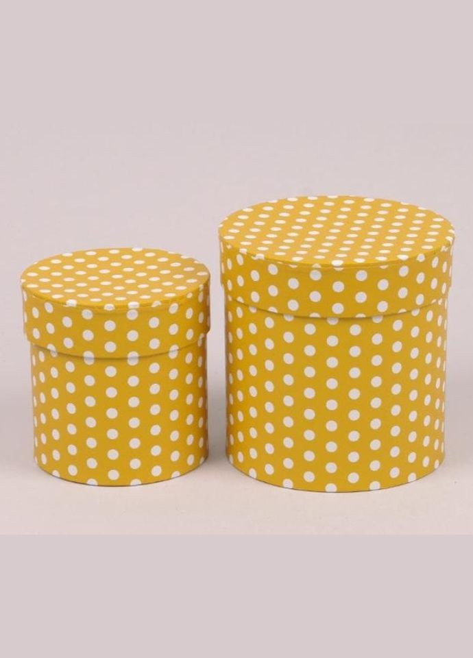 Комплект желтых коробок для цветов в горошек 2 шт. 39866 Flora (311202619)