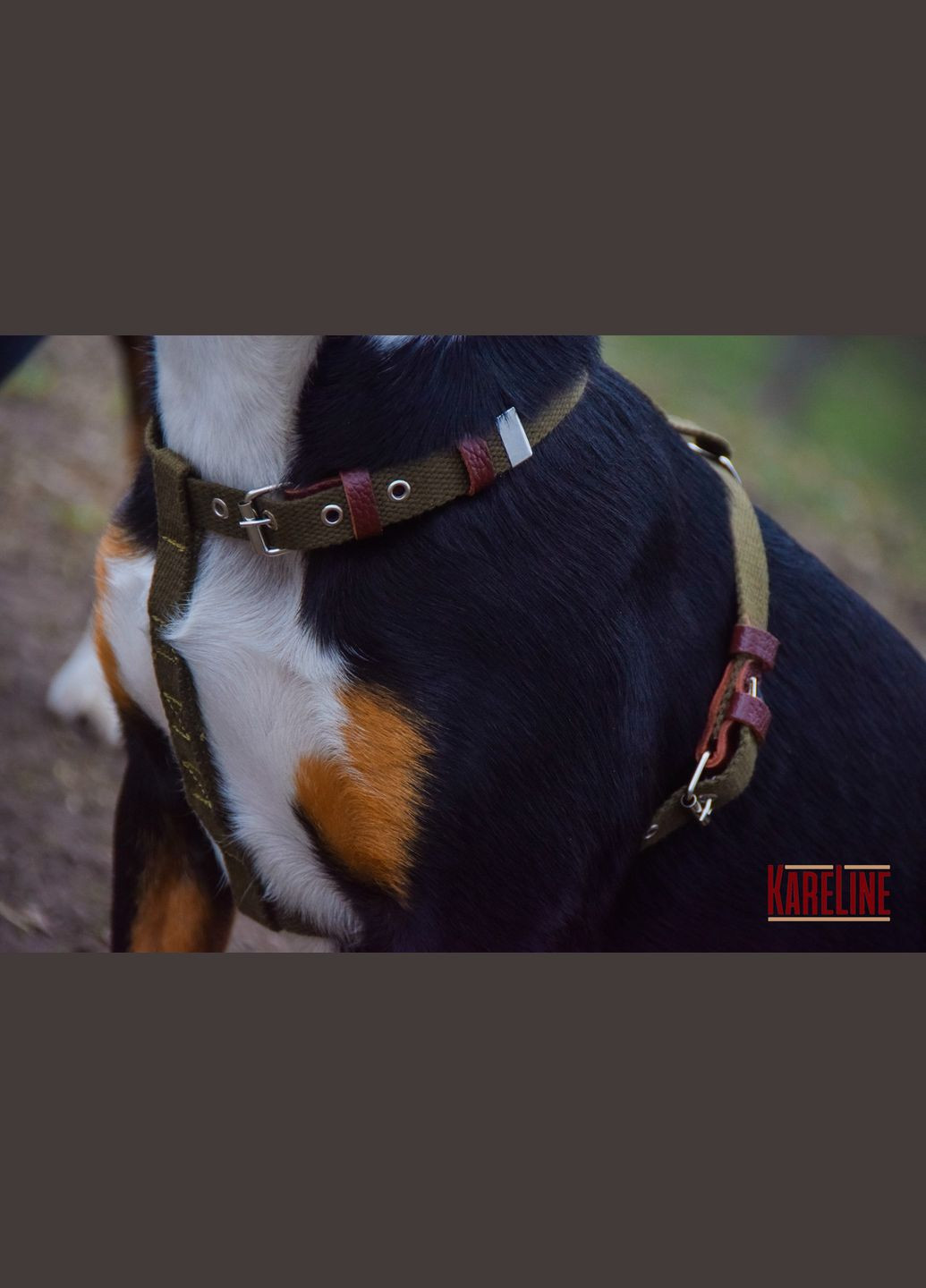 Шлей из брезента 20 мм А:420-520 мм, В:570-670 мм Kareline (339075028)