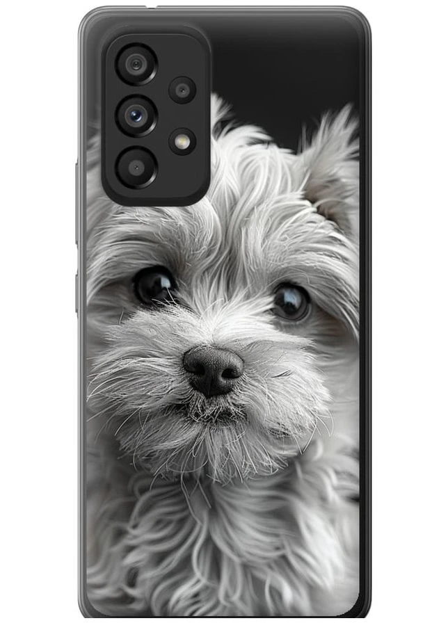 Силиконовый чехол 'Мальтипу на чорном фоне' для Endorphone Samsung Galaxy A53 A536E (297659423)