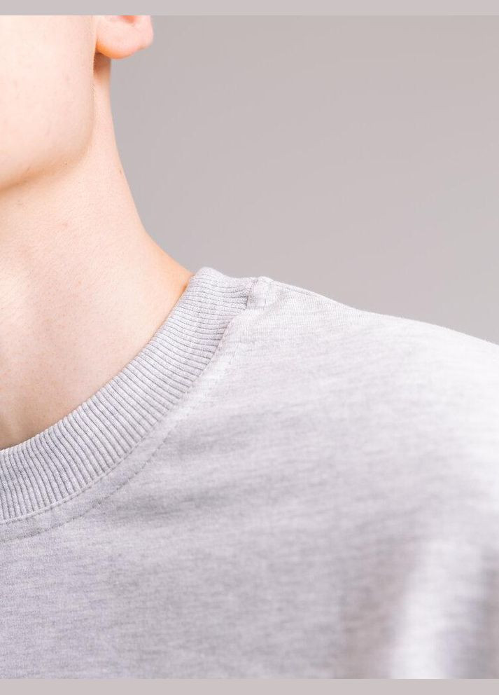 Светло-серый базовый мужской свитшот однотонный светло-серая однотонный без декора (345647928)