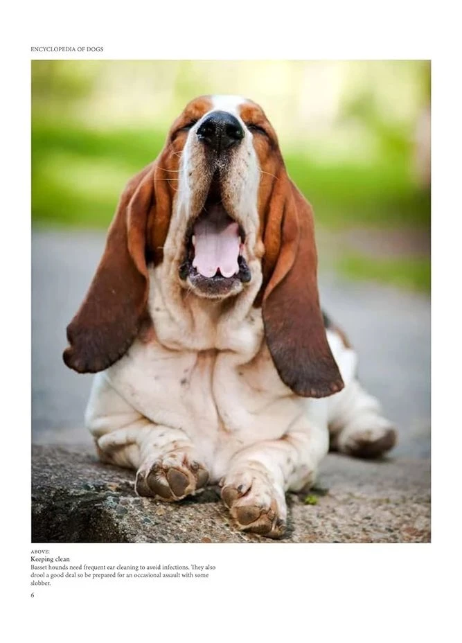 Encyclopedia of Dogs Amber Books (372577172)