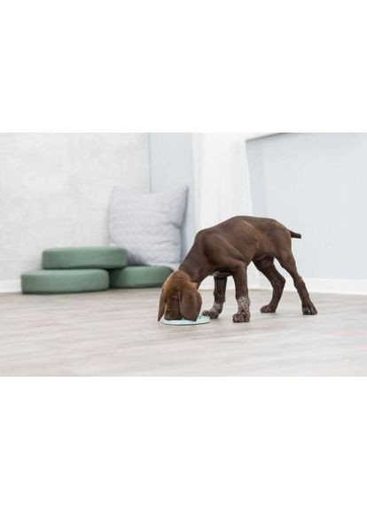 Миска Junior для повільного годування цуценят, блакитна, пластик, d 21 см (*) Trixie (322592437)