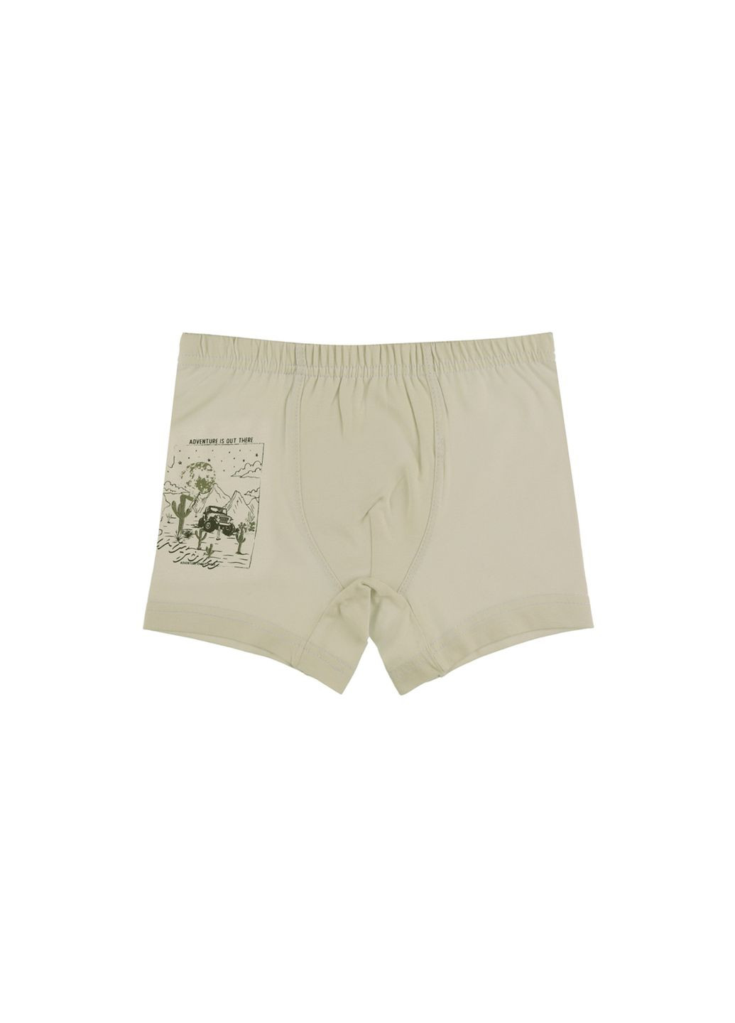 Трусики для мальчиков(5 шт.) Donella 757009 (333799384)