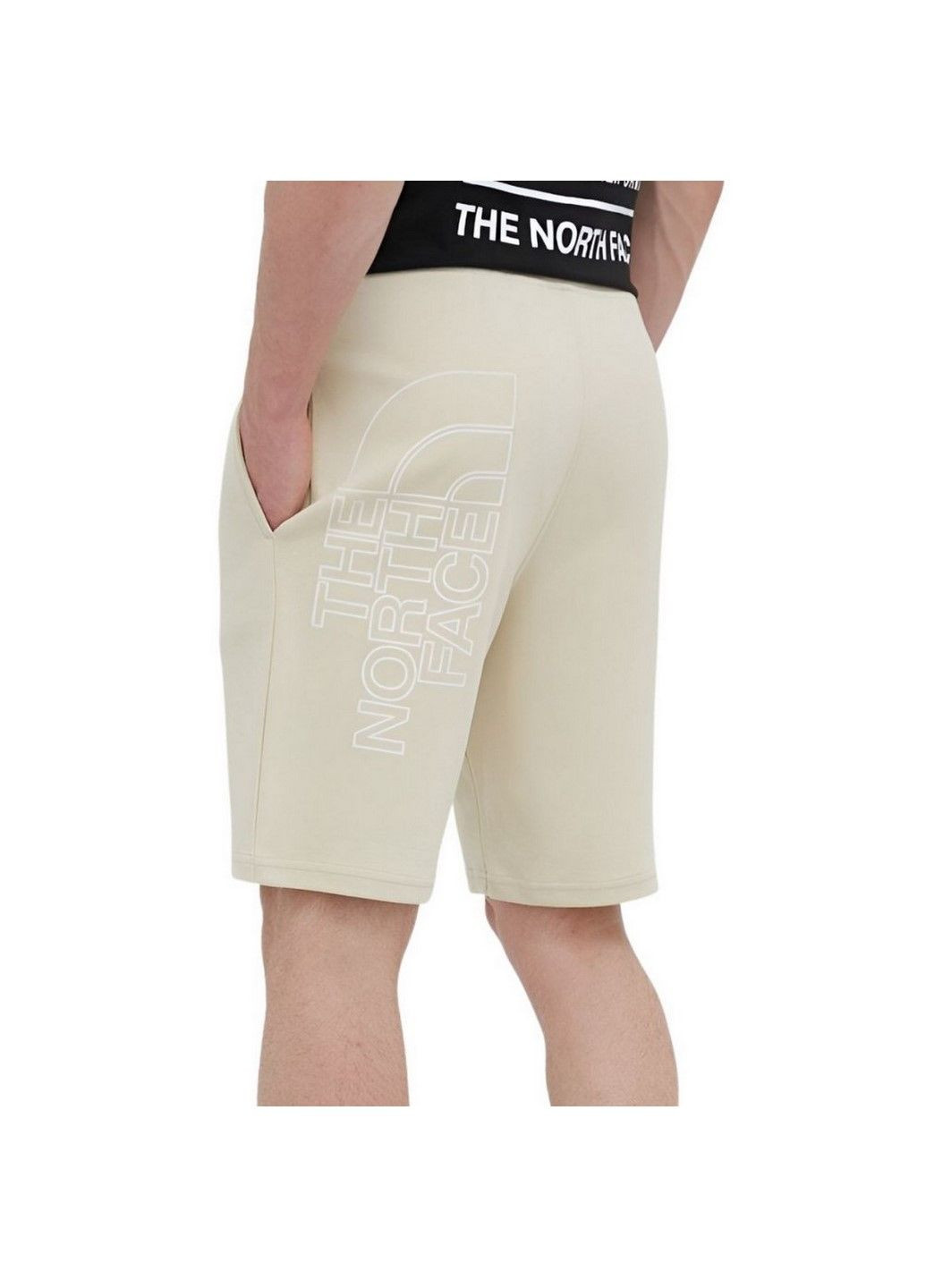 Шорти GRAPHIC SHORT LIGHT NF0A3S4F3X41 The North Face (285794487)
