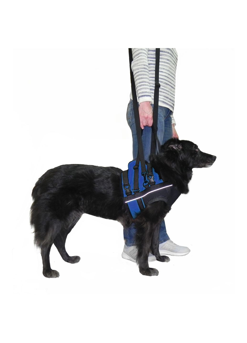 Підтримка передня для тварин, розмір XL (Синій з чорним) Frakishtak (305696331)