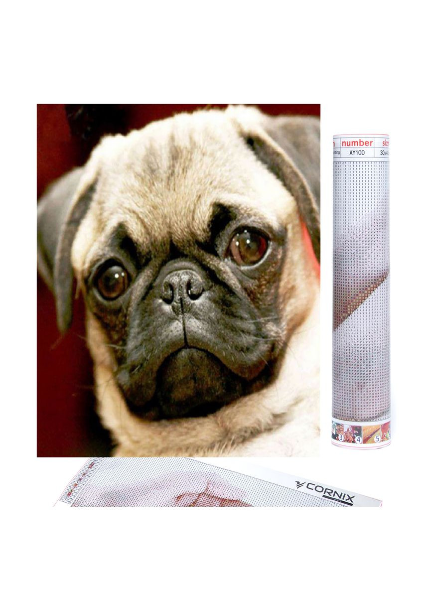 Набір алмазної мозаїки (вишивки) Art 40 x 30 см Cornix AY08 (275334152)