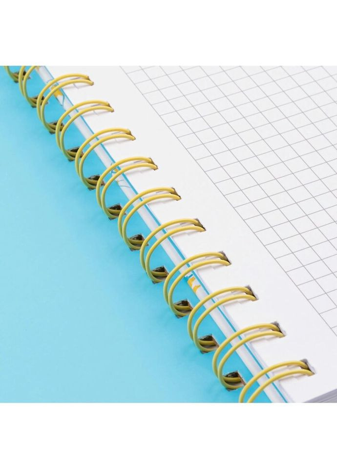 Блокнот на спіралі із гумкою А5 Freedom 151833 80 листів Yes (328391667)