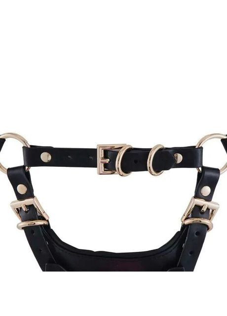 Сбруя со страпоном SEVANDA Queen Sheba Set with Golden Dildo Lockink (363970047)