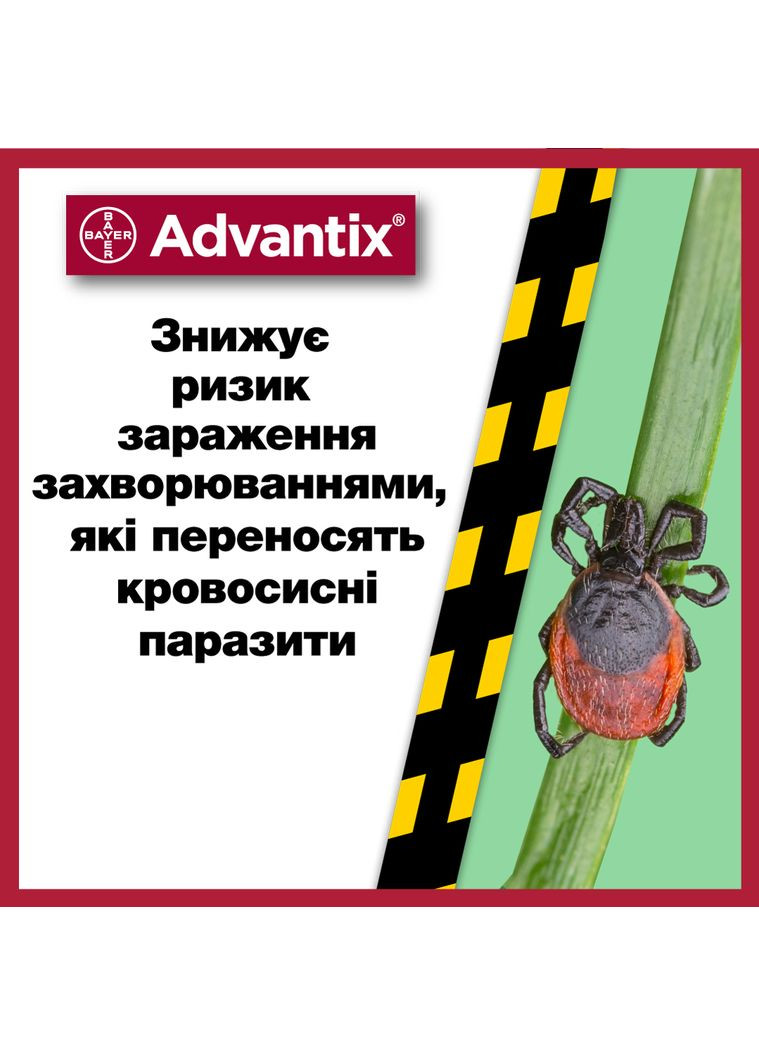 Капли Адвантикс от заражений экто паразитами для собак до 4 кг 4 пипетки (4007221037286/4007221047223) Bayer (364751333)