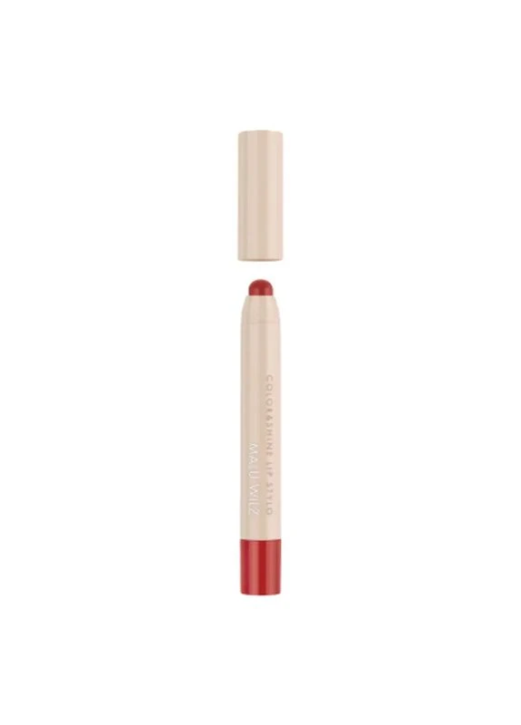 Помада для губ Color & Shine Lip Stylo 15 - Rosemary Rose (4060425039326) Malu Wilz (399625063)