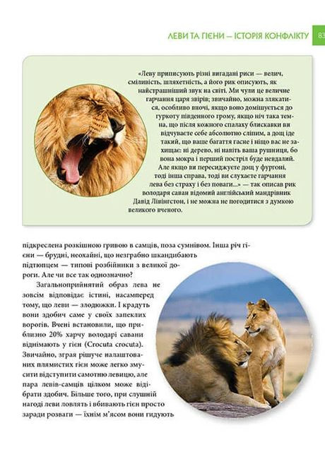 Енциклопедія для допитливих А5: Хижаки (Українська, 01 КРЕЙДОВАНИЙ ) Талант (370076339)