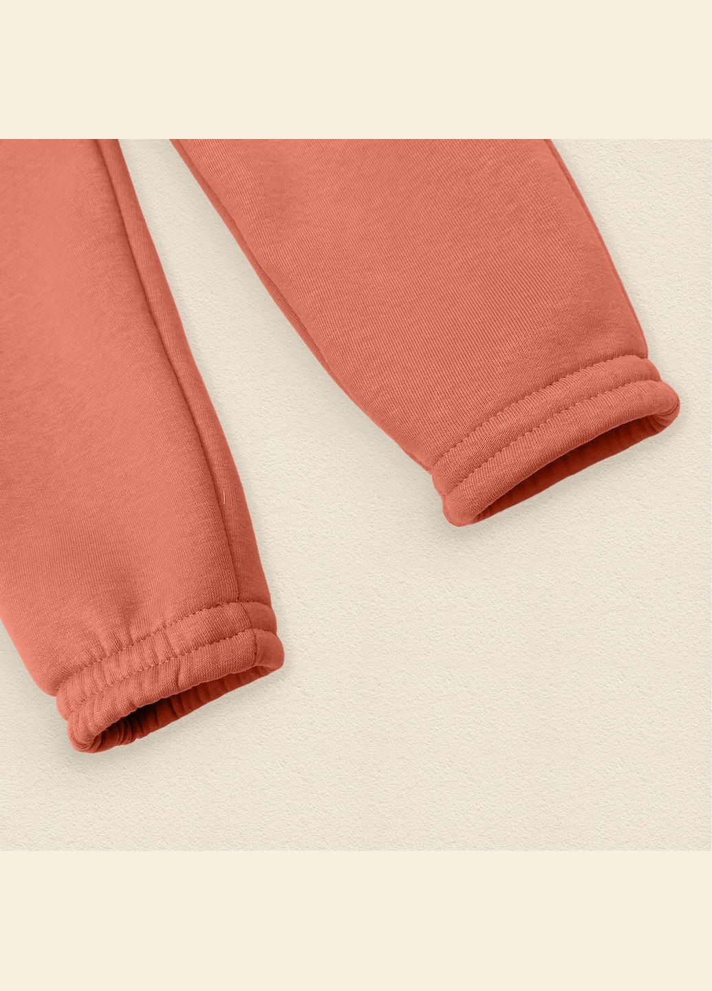 Дитячий теплий костюм із тканини тринитка Теракотовий dexter's (298408297)