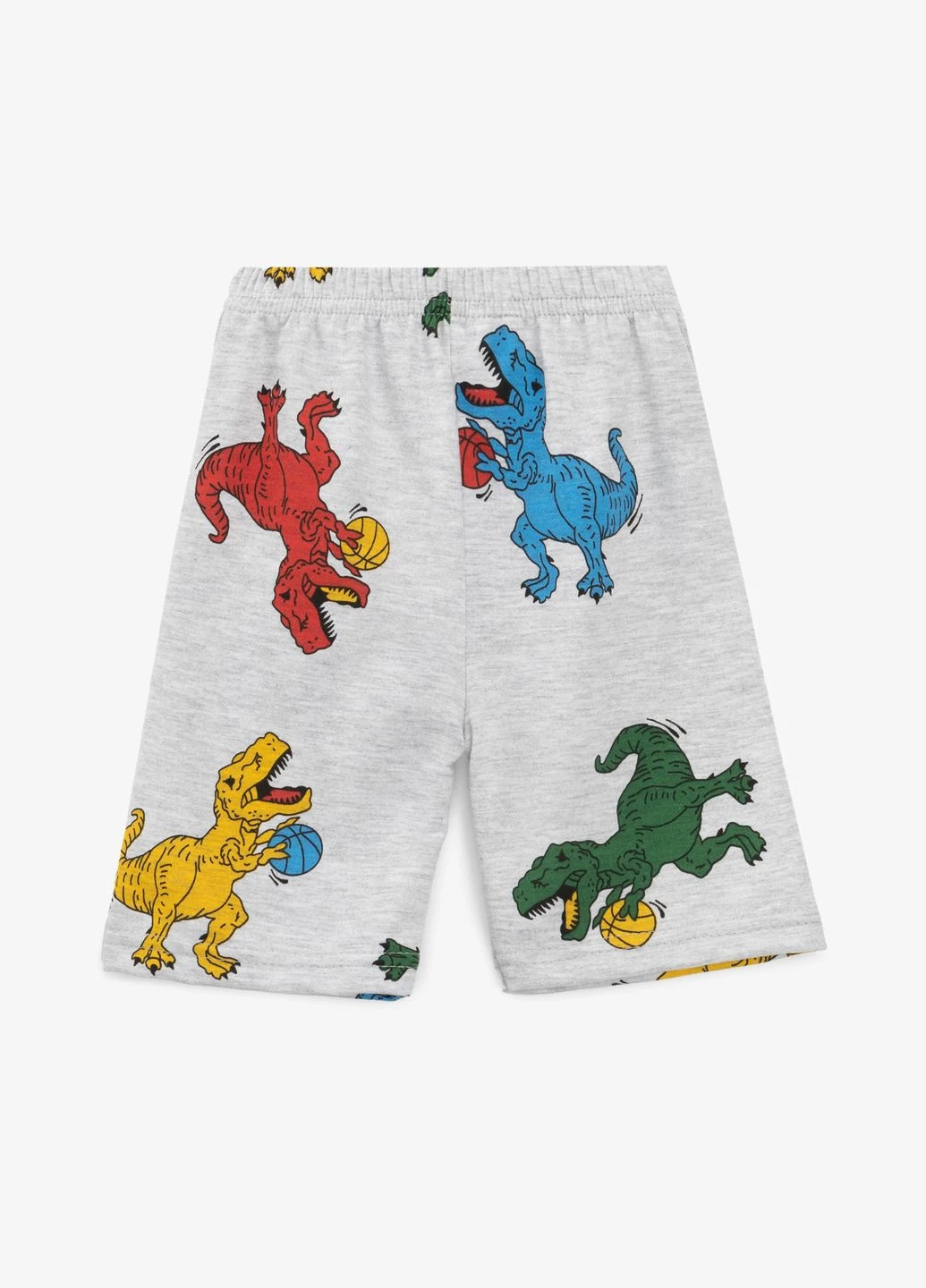 Спортивні шорти Dinomin (326379227)