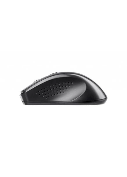 Мышь MF213 WL Black (-MF213WB) 2E (360418867)