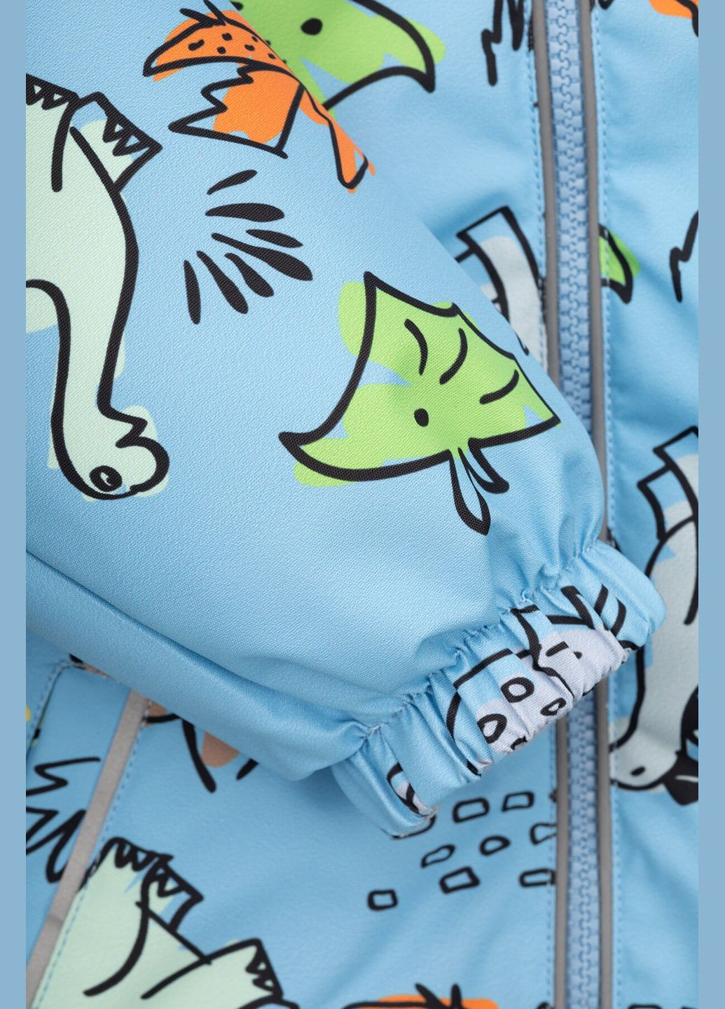 Блакитна демісезонна куртка для хлопчика b31-015 116 см (2000990226938d) shop (2000990226938) Snowgenius