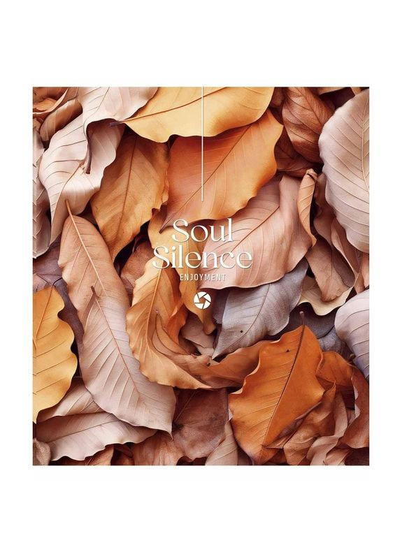 Тетрадь общая "Silence" 096 3358L 4 в линию, 96 листов Школярик (363206806)