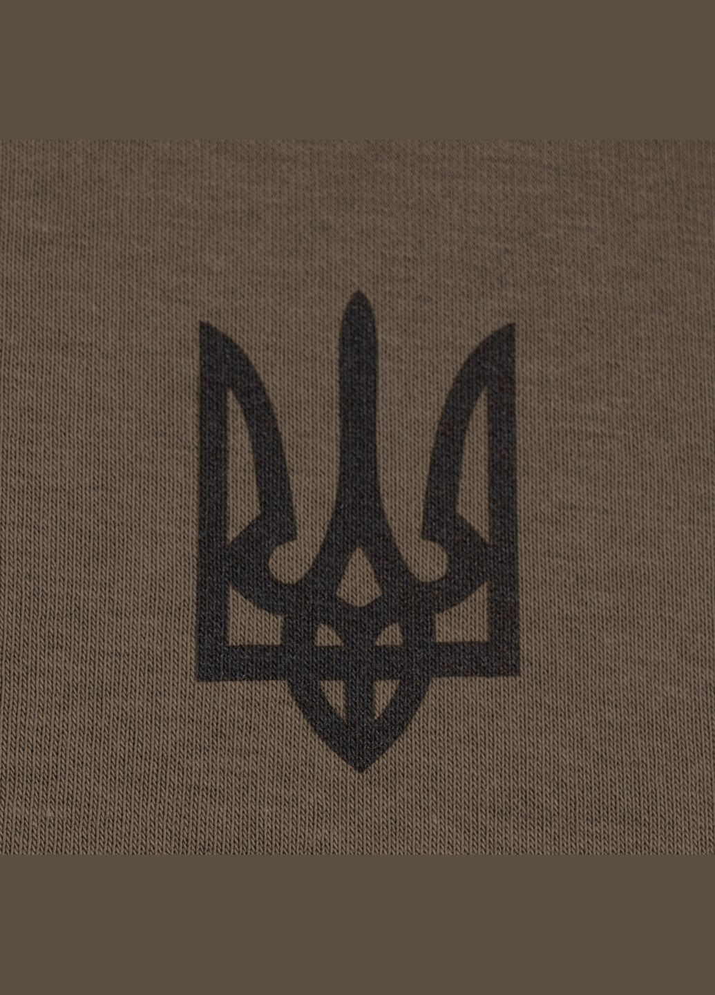 Свитшот зимний Трезубец ogo L Brown P1G (316320916)