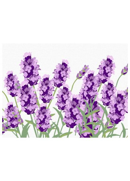 Картина по номерам (4823098540533) Rosa Star Ніжна лаванда 15 х 20 см з мольбертом (366070287)