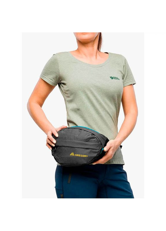 Поясная сумка Nano Waistpack 3.5 L Techno Black (126861/9969) Gregory (322200514)