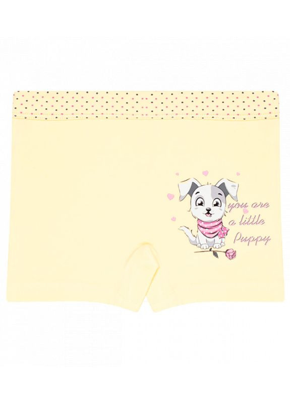 Дитячі труси шортики для дівчинки Donella Шортики (313424613)